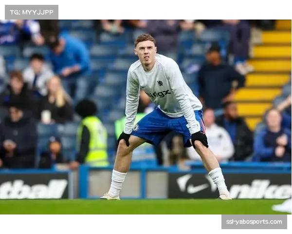 切尔西2-0埃弗顿止住三轮不胜 帕尔默古斯托互相献助攻